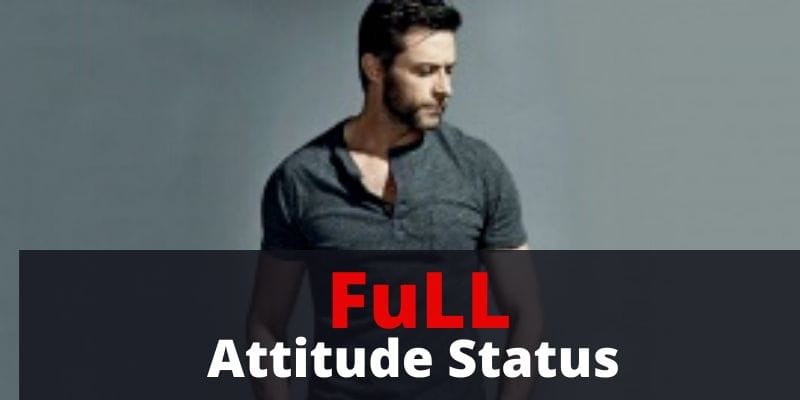 Full attitude status