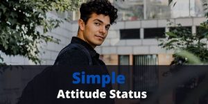 Simple Attitude status