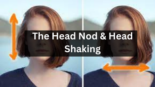 The Head Nod & Head Shaking