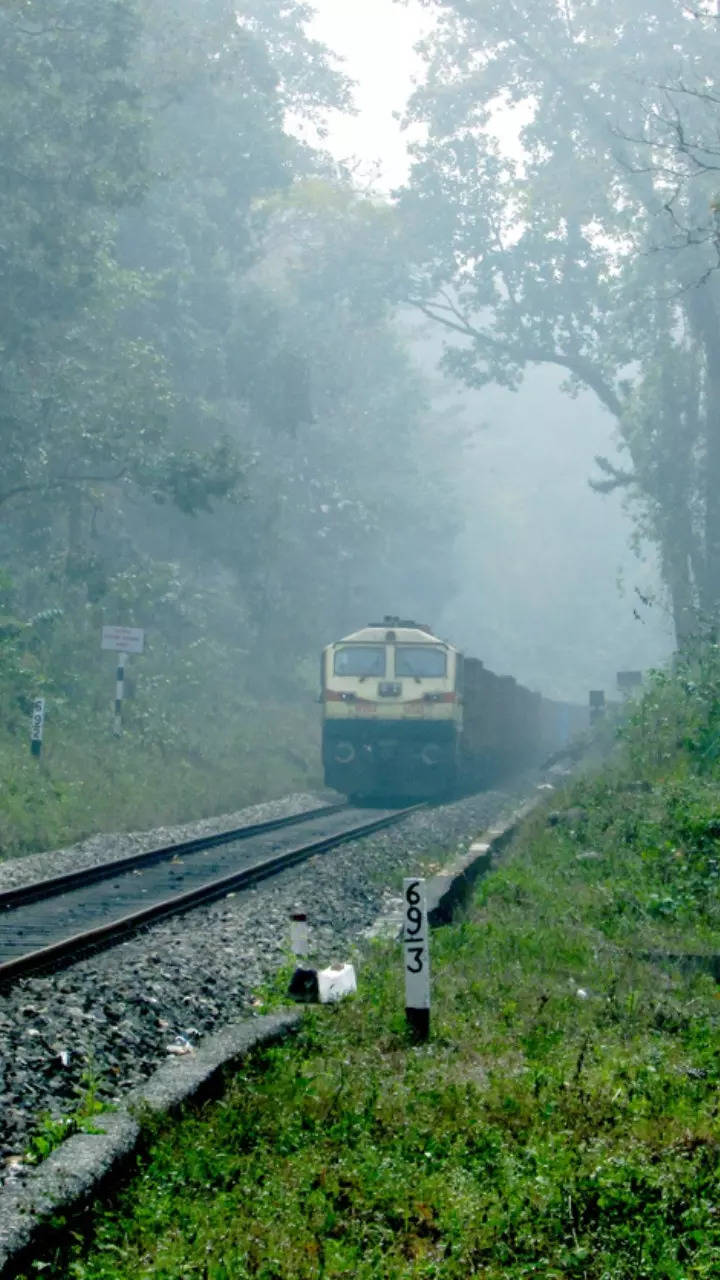 Most Scenic Train Journeys In South India 