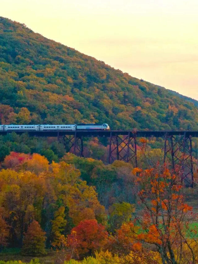 New York In Autumn: The Prettiest Places To Visit