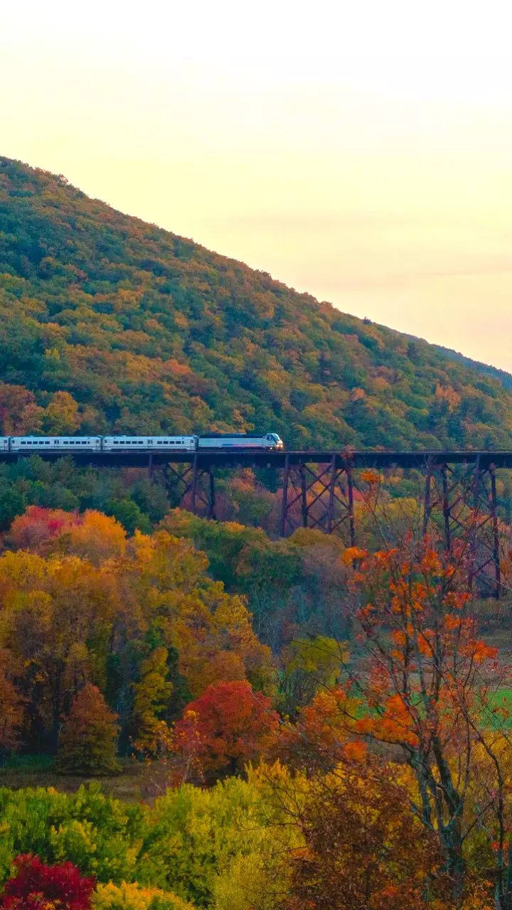 New York In Autumn: The Prettiest Places To Visit 