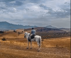 Unveiling the Art and Adventure of Horse Riding: A Journey Beyond Boundaries