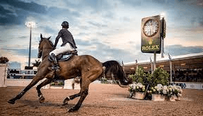 Mastering the Art of Horse Riding: Your Path to Equine Elegance