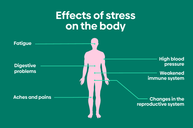 The Physical Manifestations Of Stress