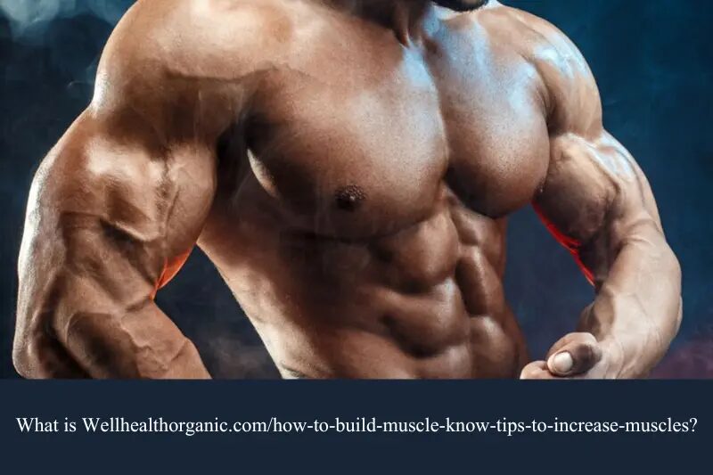Wellhealthorganic.com/How-to-Build-Muscle-Know-Tips-to-Increase-Muscles