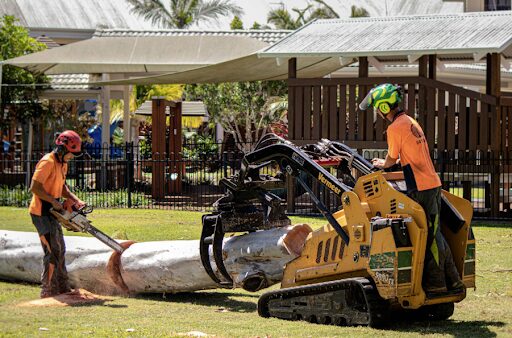 Stump Grinding in Gold Coast