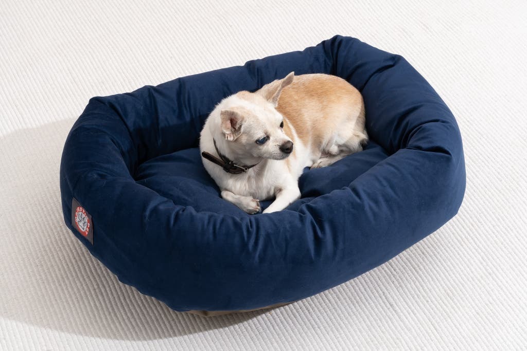 Dog Beds for Sale Online A Complete Guide for Pet Owners