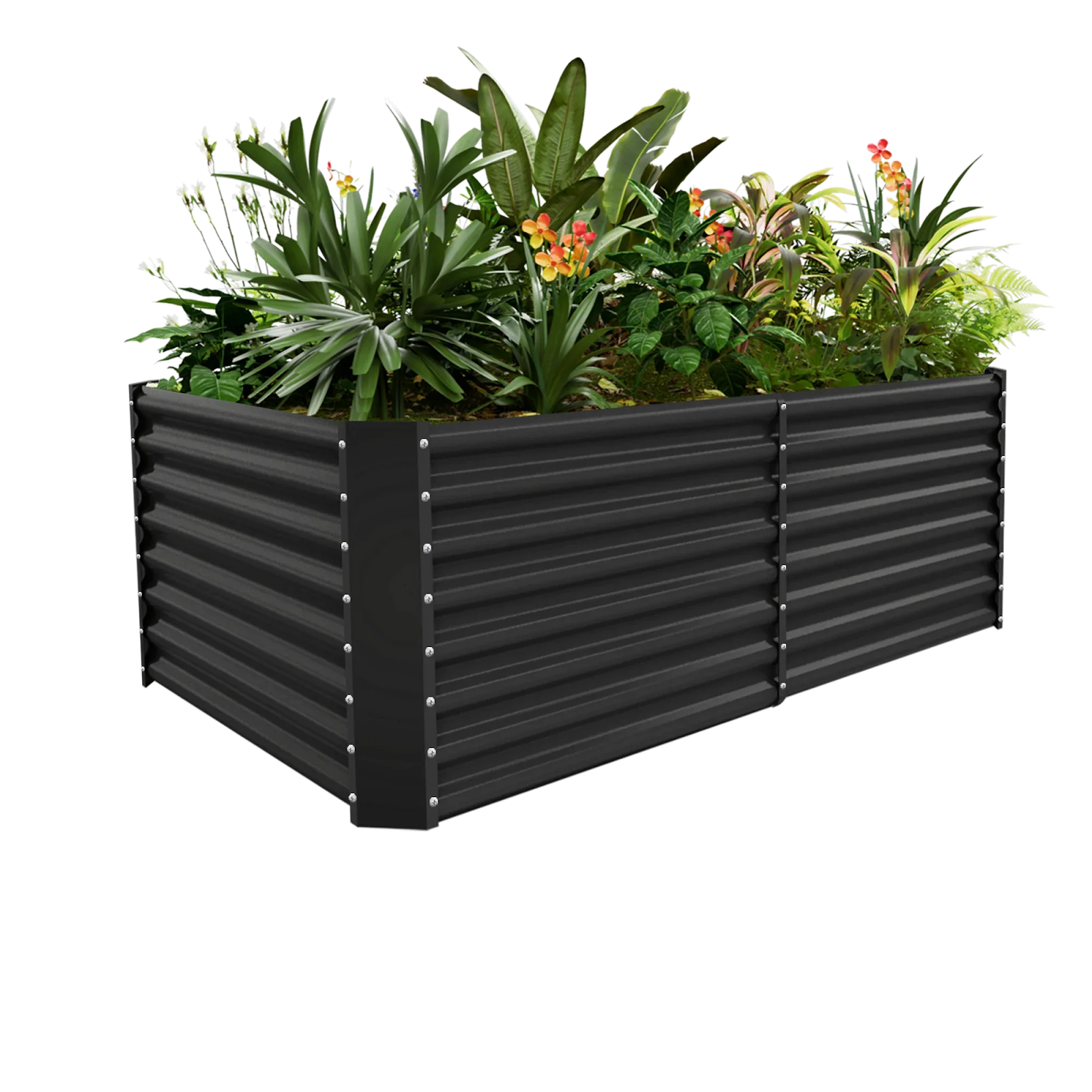 Understanding Your Credit Balance