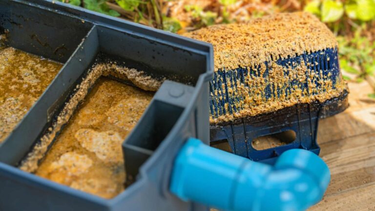 Grease on Your Sewer Lines