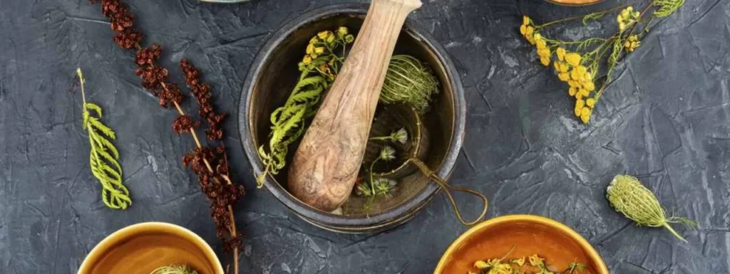 Matching Your Herbal Extract To Every Moment Of The Day