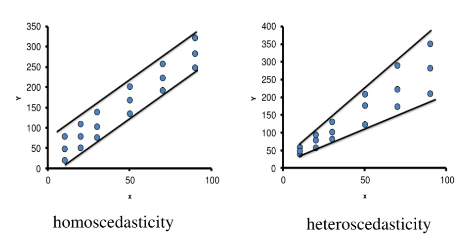 Robust Regression Methods: Mitigating the Influence of Outliers on Parameter Estimation in Linear Models