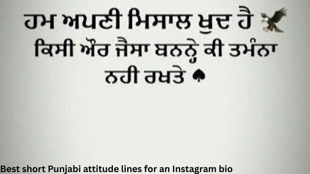 Best short Punjabi attitude lines for an Instagram bio