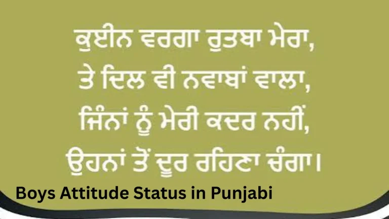 Boys Attitude Status in Punjabi