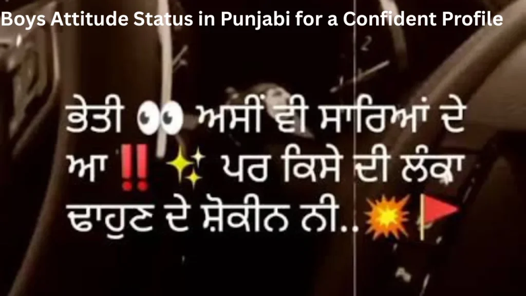 Boys Attitude Status in Punjabi for a Confident Profile