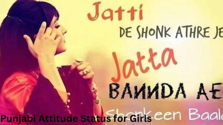 Punjabi Attitude Status for Girls