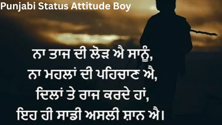 Punjabi Status Attitude Boy
