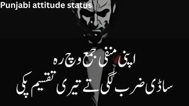 Punjabi attitude status