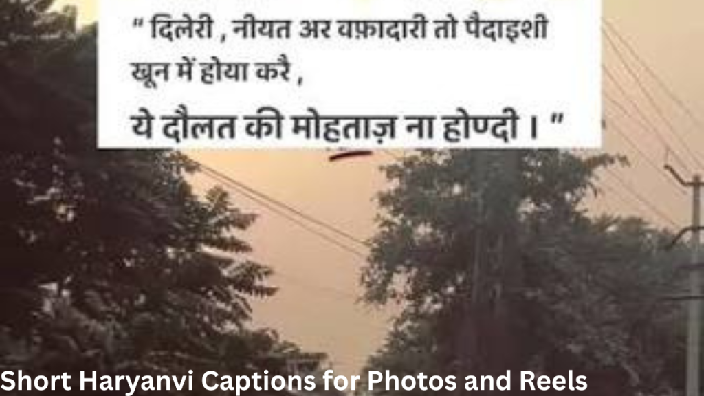 Short Haryanvi Captions for Photos and Reels Short Haryanvi Captions for Photos and Reels