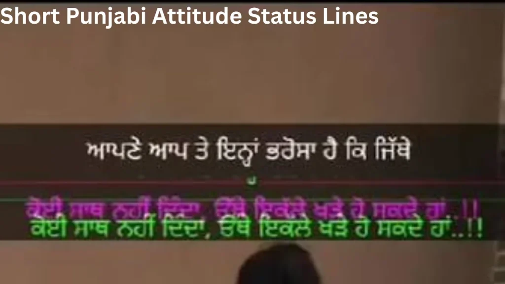 Short Punjabi Attitude Status Lines