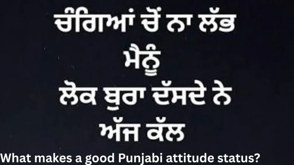What makes a good Punjabi attitude status What makes a good Punjabi attitude status?