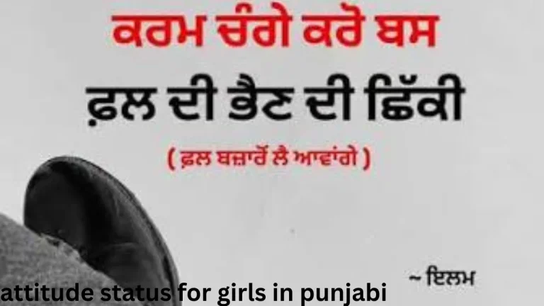 attitude status for girls in punjabi