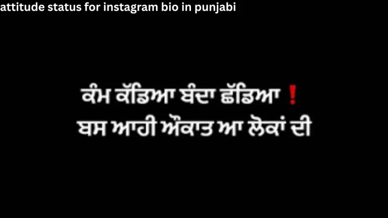 attitude status for instagram bio in punjabi