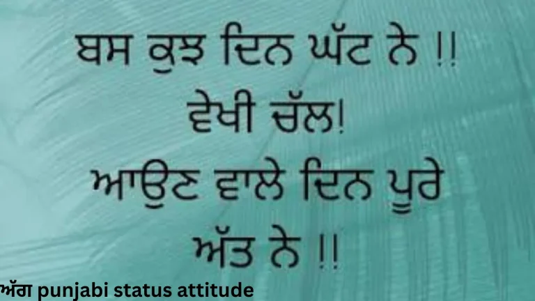 ਅੱਗ punjabi status attitude