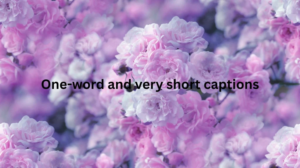 One-word and very short captions One-word and very short captions
