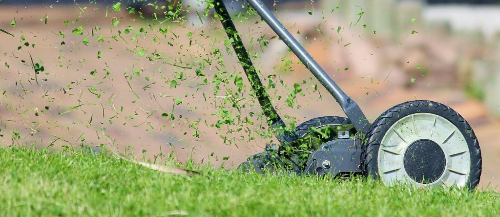 How Often Should You Mow Your Lawn?