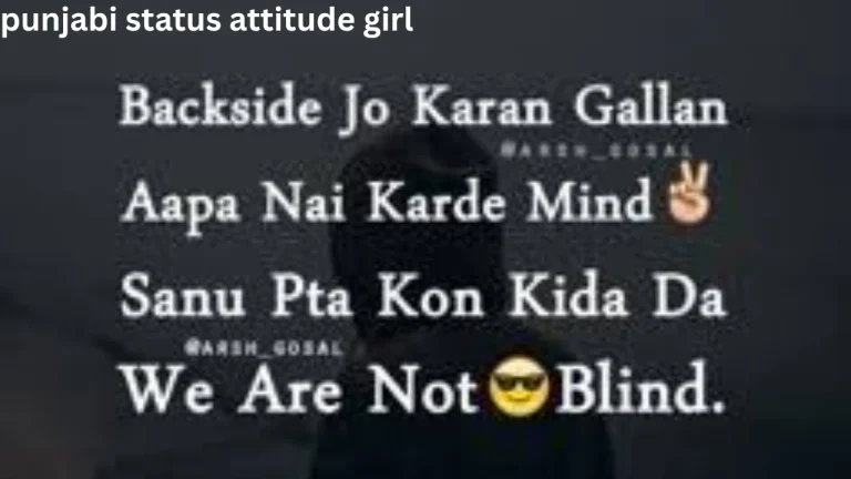 punjabi status attitude girl