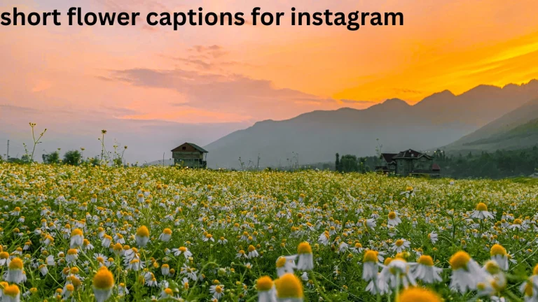 short flower captions for instagram